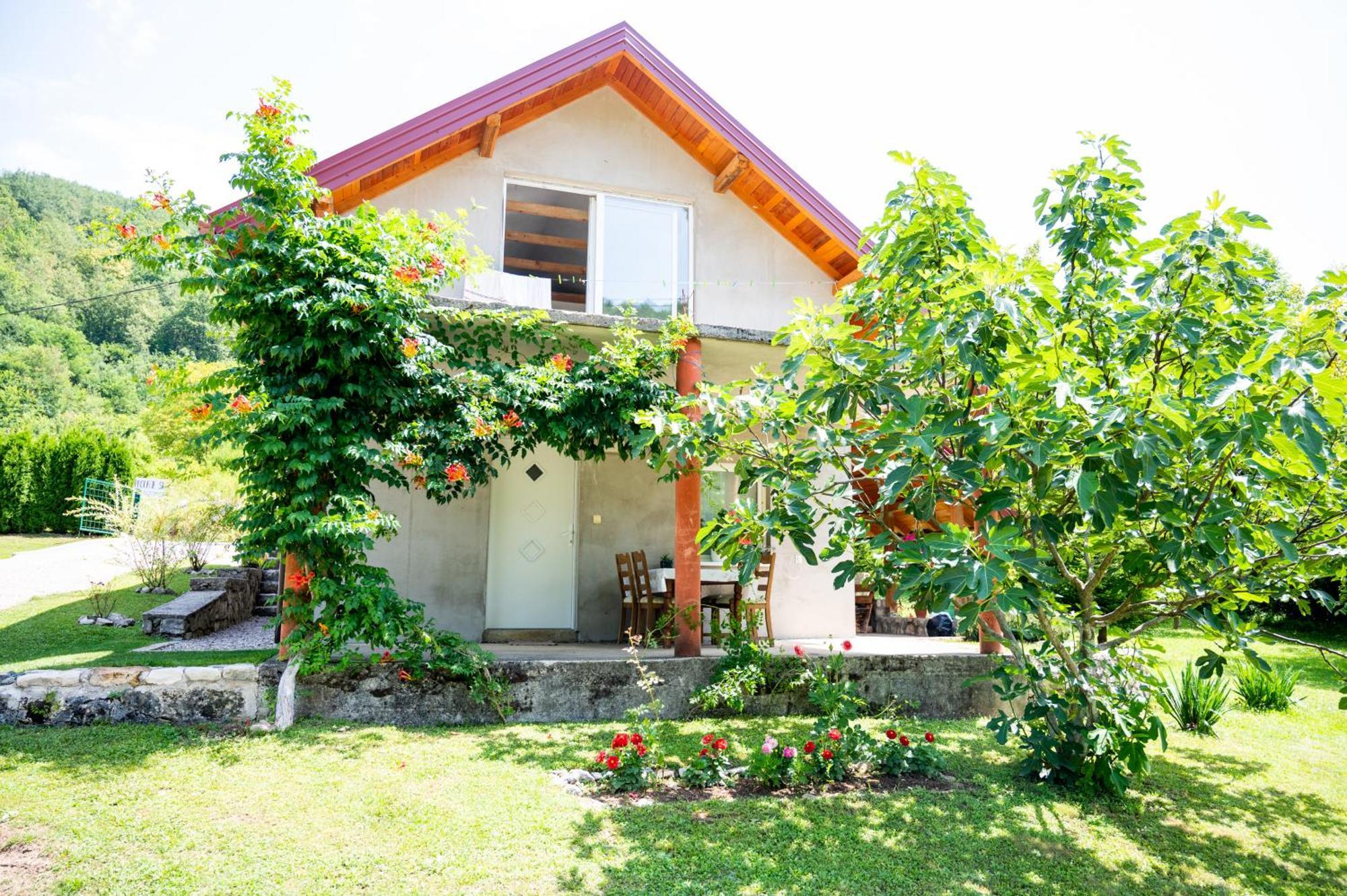Apartman Kestenovac Orasac 外观 照片